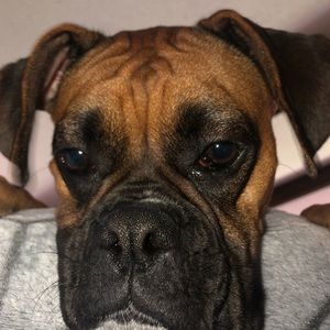 Meet your Posher, Emmy